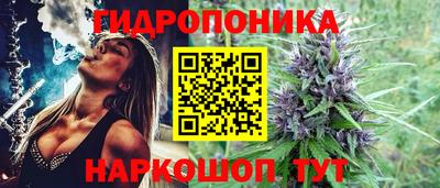 трава Кандалакша