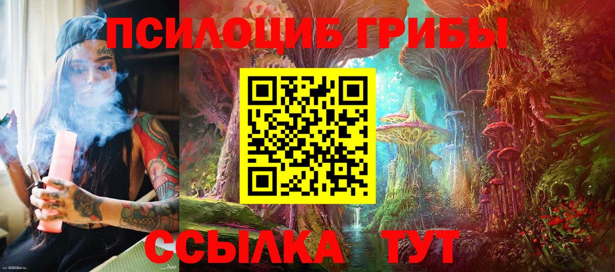 Полысаево  где продают наркотики  Вход с VPN  Псилоцибиновые грибы Cubensis  Псилоцибиновые грибы MAGIC MUSHROOMS 